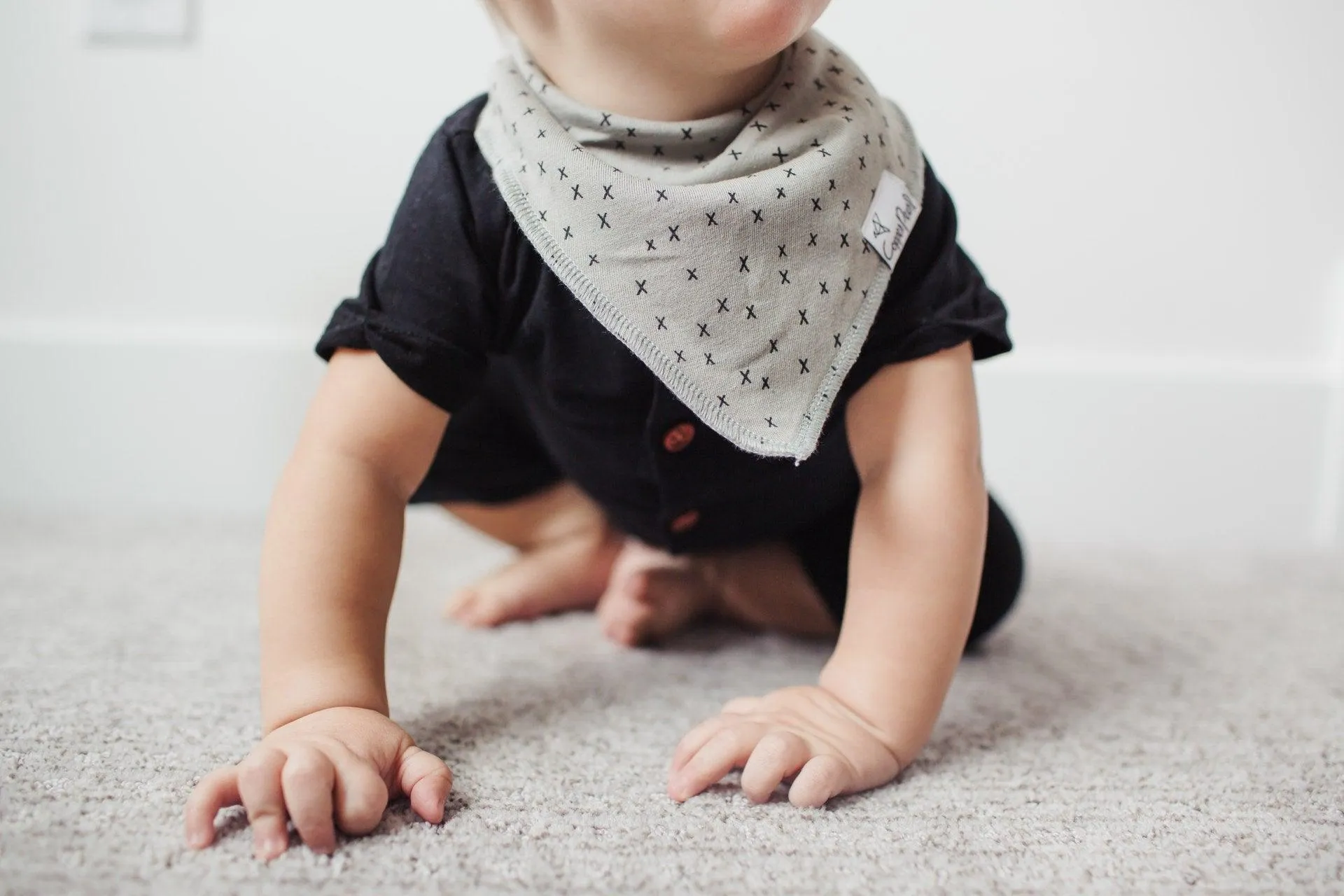 Baby Bandana Bibs - Alta