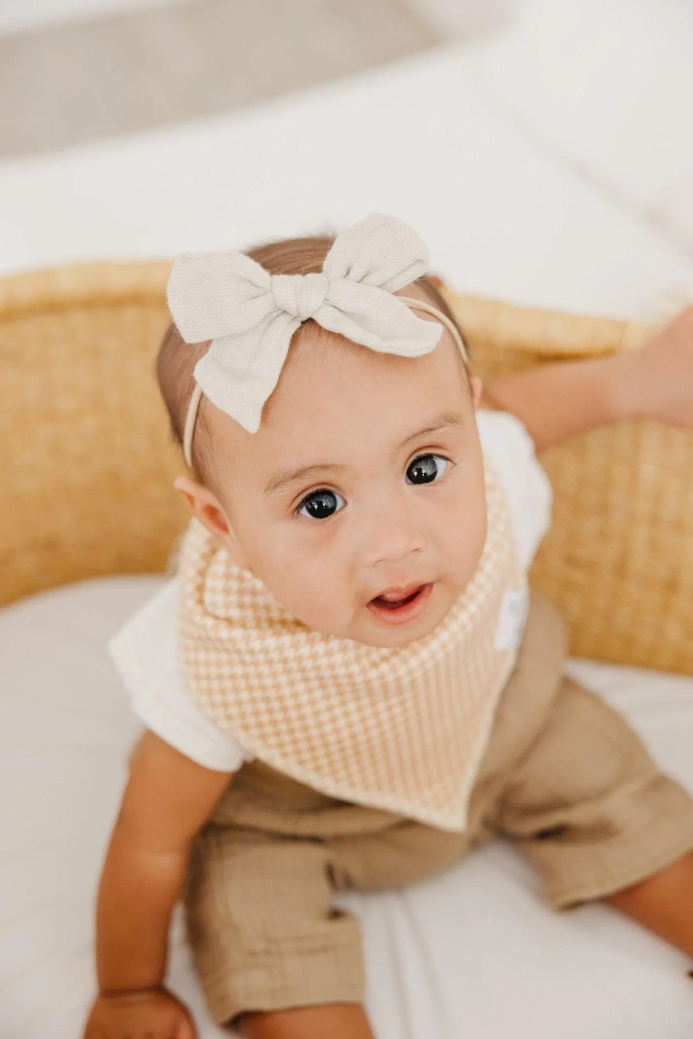 Baby Bandana Bibs - Eden